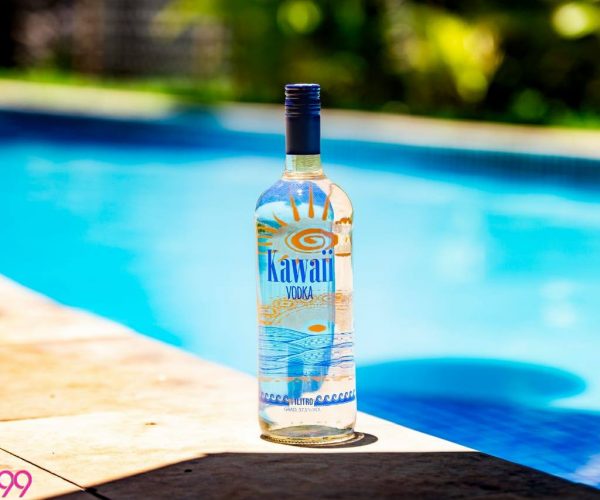 52599406_2163477880358259_465527339095162880_o-600x500